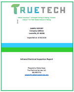 truetech_sample-report-icon